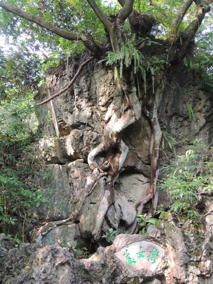 黄果树瀑布拍照哪个景点好,旅游第三站打卡4a景点黄果树瀑布