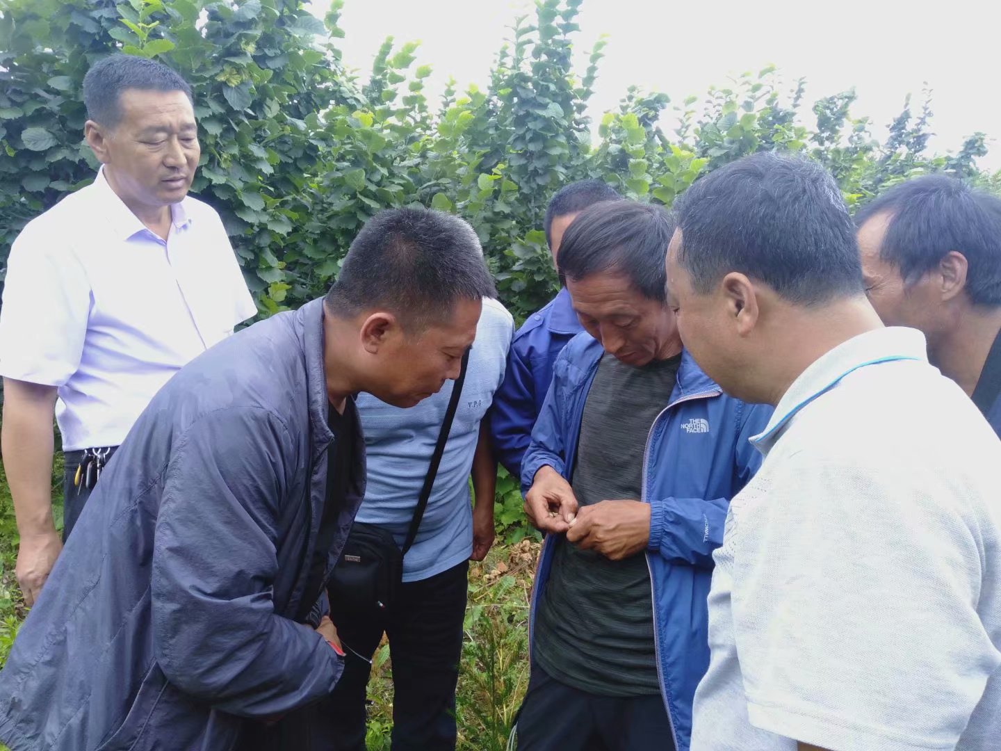 “会站家”一体化促进新经济组织和谐发展