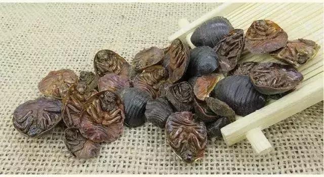 入境美国能带哪些常备药,哪些药不能入境美国