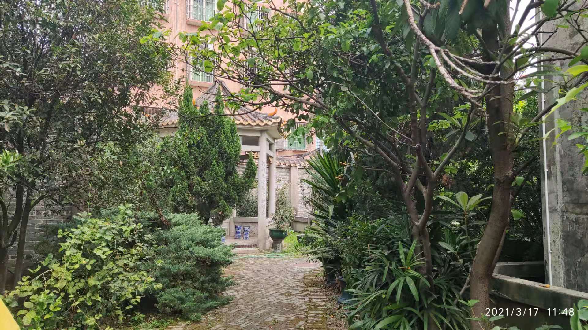 走访“平地黄”，睇大宗祠“花堂”