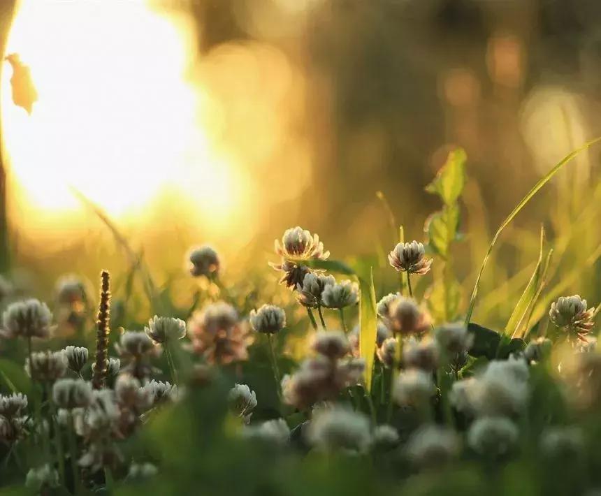 尊严教育,对孩子的教育是人生最大的回报