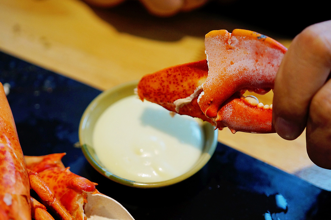 波士顿龙虾最高级的吃法,波士顿龙虾最新的吃法