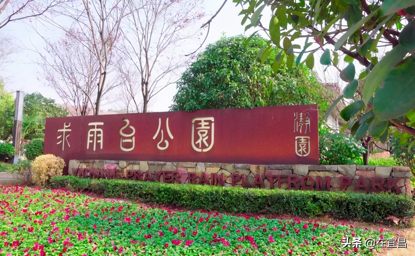 牛！这样的伍家岗，你怎能不爱