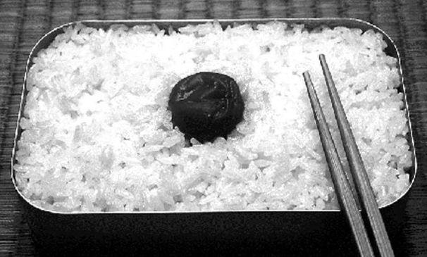 区区一个脚气病，差点灭掉日本*队军**，还改变了日本的国运……