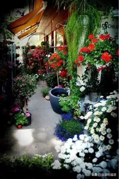 几句好的祝福语,很漂亮的一句话送给自己