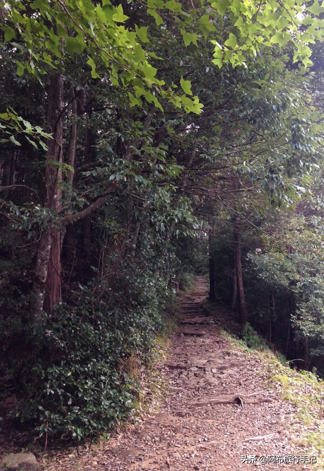 日本熊野古道拍摄,摄影师镜头下的景区