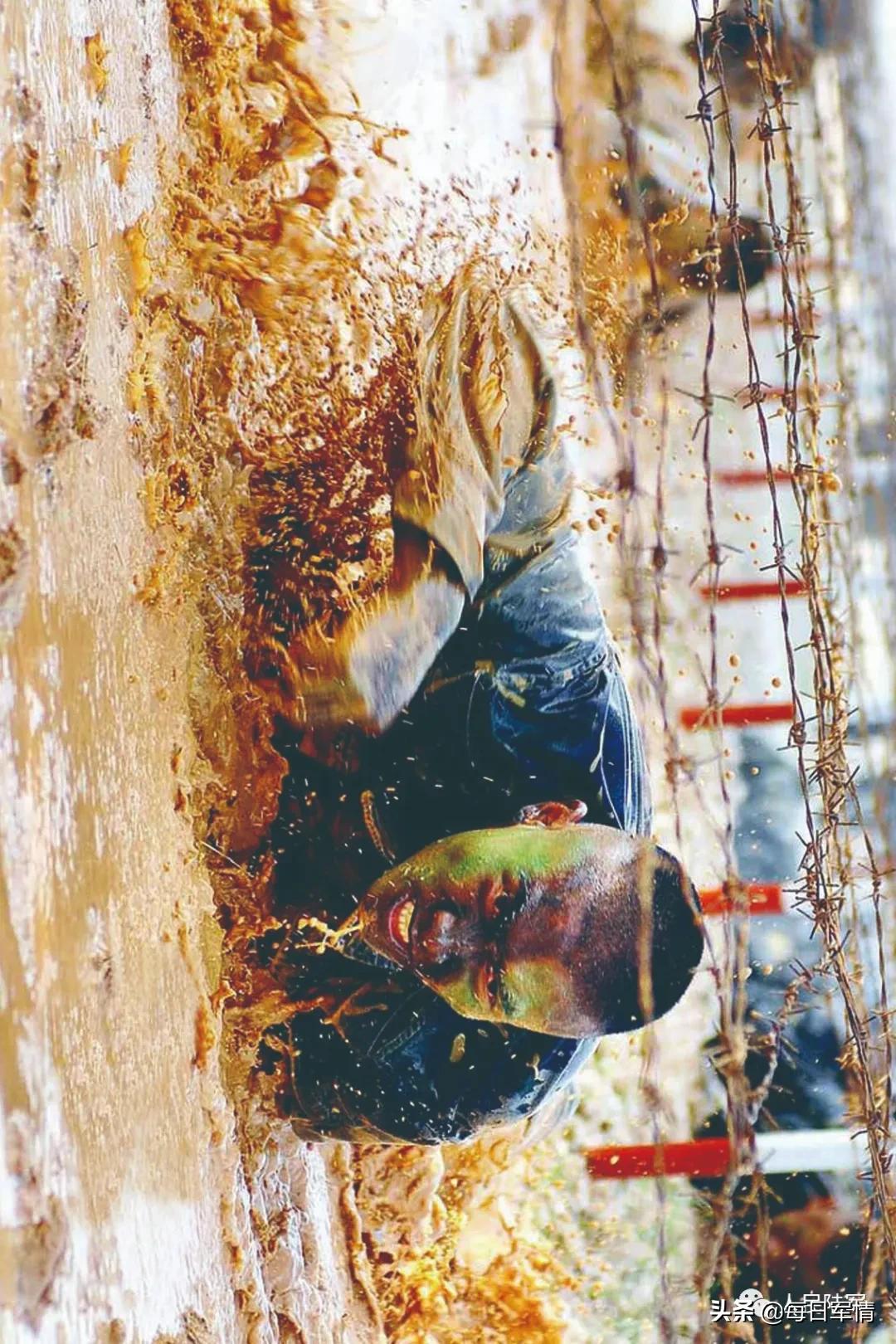 打破美军不可战胜的神话是多少年,39军历史简介