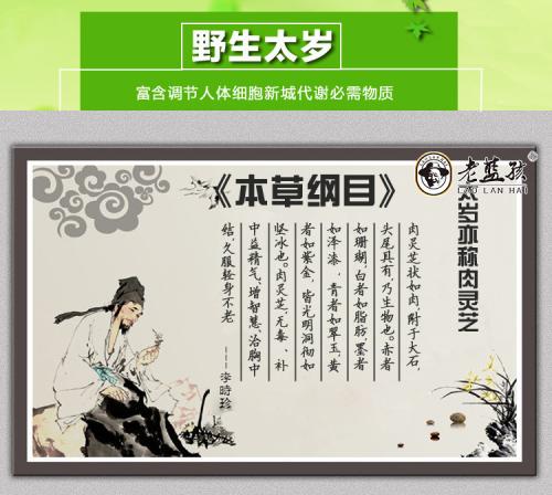 太岁头上动土太岁是什么东西,不要在太岁上动土说说