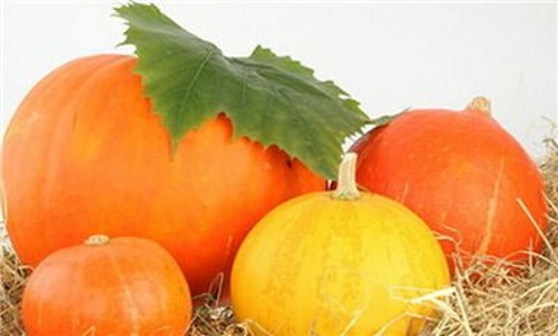 南瓜品种大全板栗南瓜,粉面南瓜哪个品种好种植