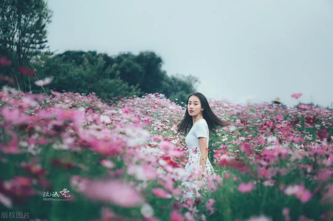 花海中如何拍照,花海里怎么拍照最好看