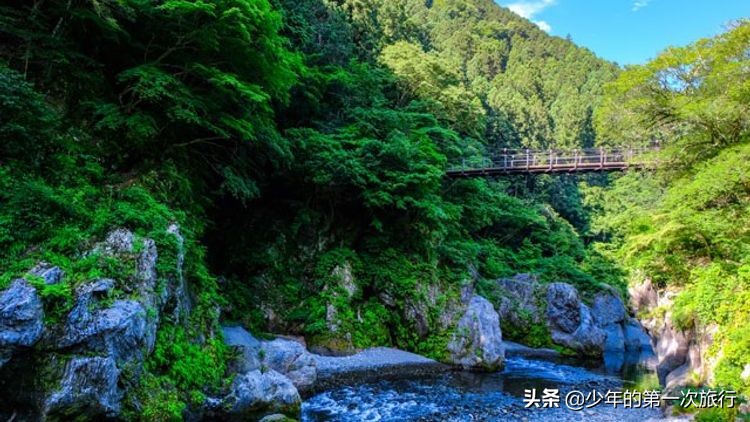 东京住宿东京旅游攻略,东京旅游攻略4天详细地址