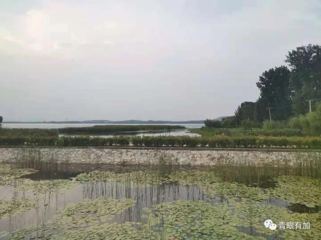 西吴沟村美丽乡村,水乡西吴沟