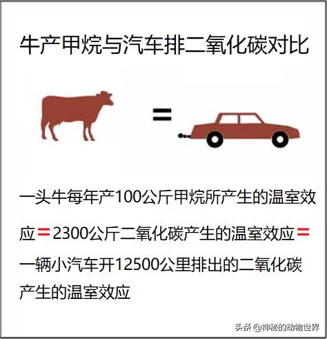 牛可产奶、产肉、有益人类,也可以产甲烷,产温室效应,有害人类