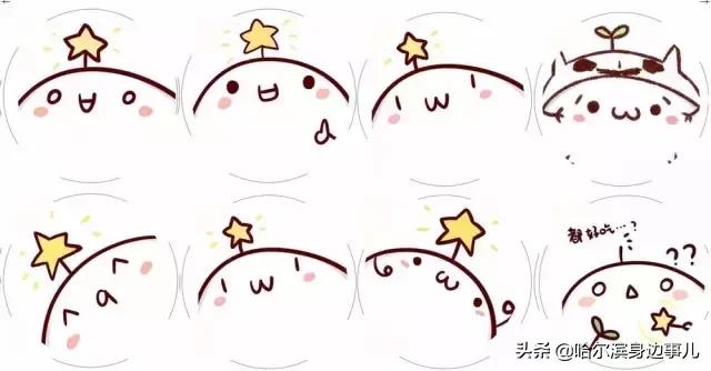 哈尔滨蛋糕店哪家好吃,哈尔滨最好吃的黑森林蛋糕店