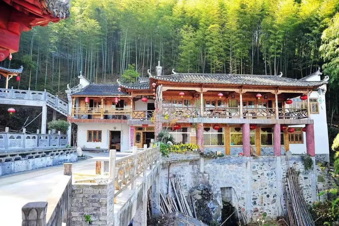 带着狗子旅行推荐,带着狗狗游新疆