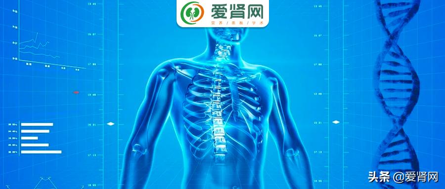 慢性肾衰的最新治疗方法,肾衰等疾病的治疗研究