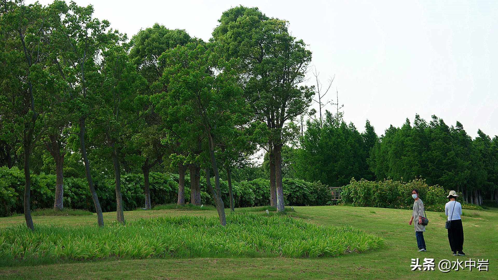 长江流域发生了几次大型洪涝灾害,江苏历史上遭遇的洪水