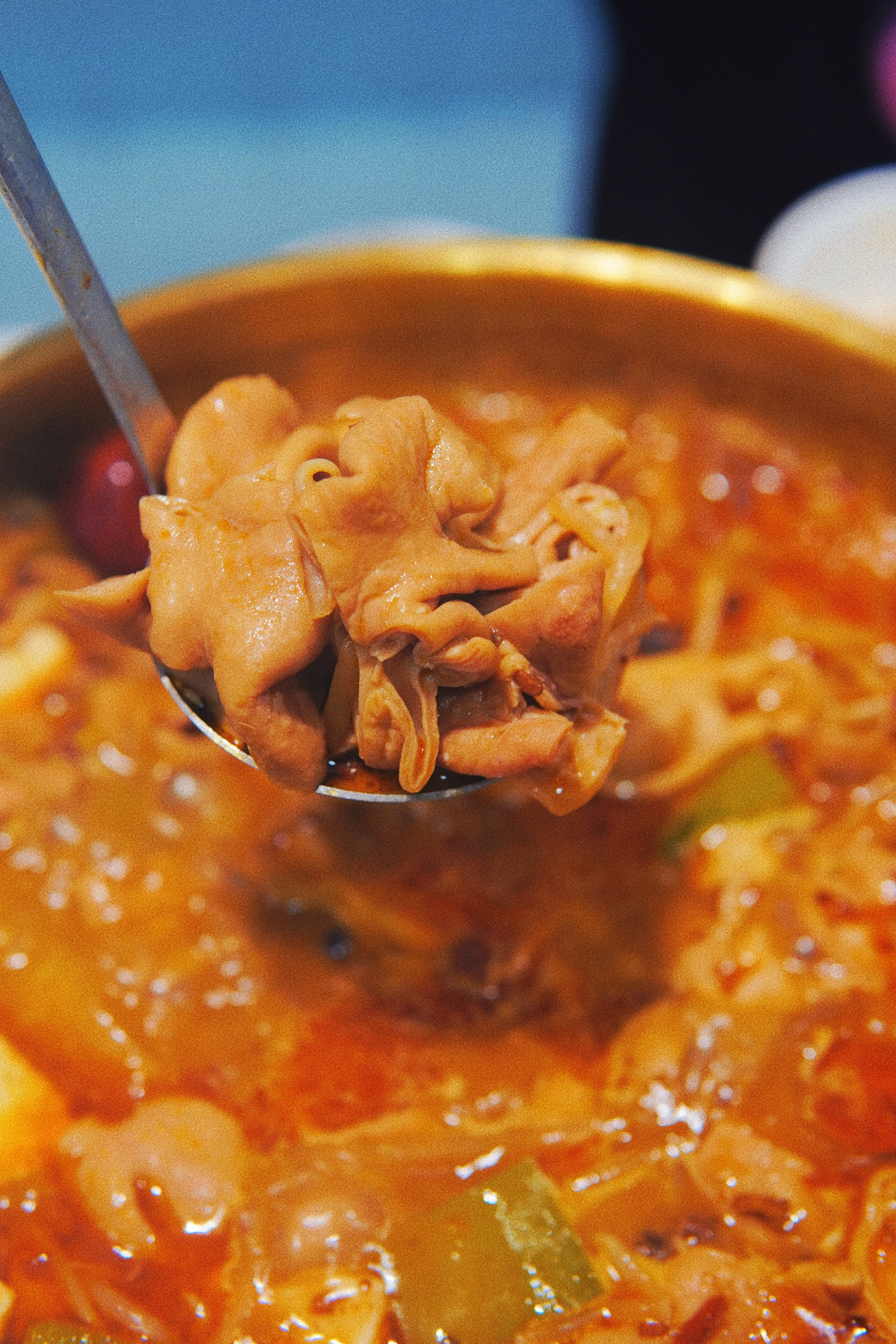 肥肠的家常做法软烂入味,解锁肥肠的新吃法文案