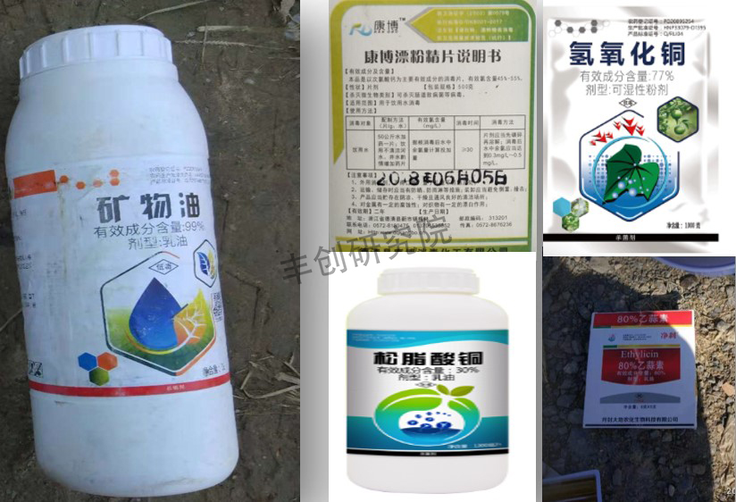 青苔的最佳治理方法是什么,青苔补救