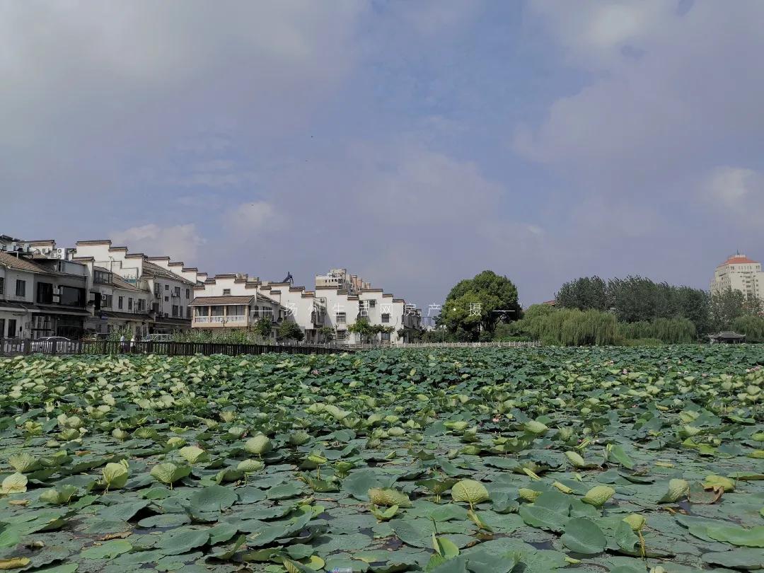 扬州的老城区有什么好玩的,老城区新增商业