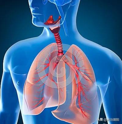 看看*品毒**是怎样摧残你的身体的！