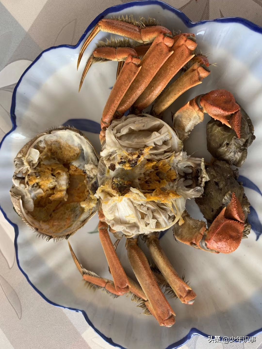 大闸蟹死了可以吃吗,螃蟹刚刚死可以吃吗