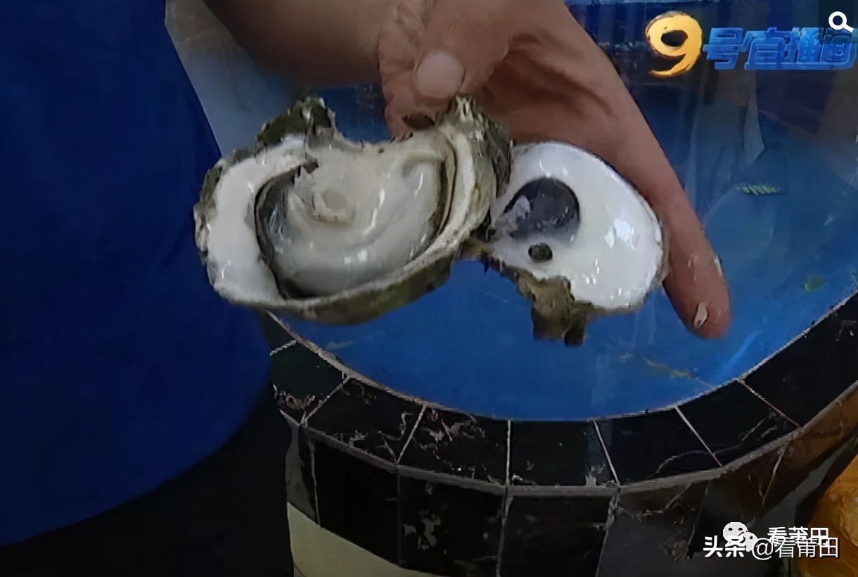生蚝美味可别忽略背后的风险,三种生蚝不能随便吃