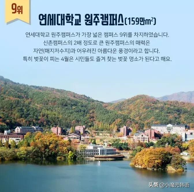 占地面积最大的韩国大学TOP30