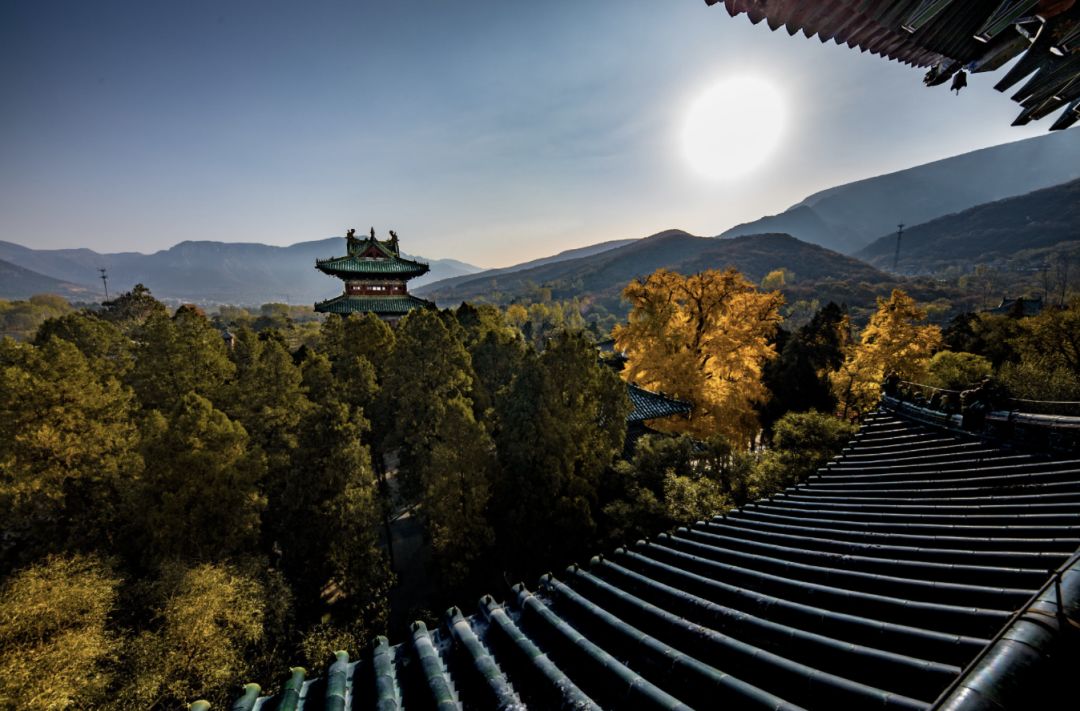 老家河南抖音,老家河南央视宣传片