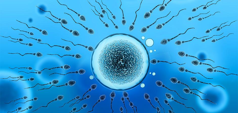 新冠病毒彻底清除了吗,新冠病毒从感染到死亡历程