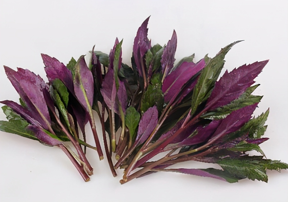 叶菜品类表,叶菜类一览表