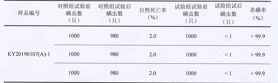 吸尘器家用好物推荐,多功能便携大吸力吸尘器评测