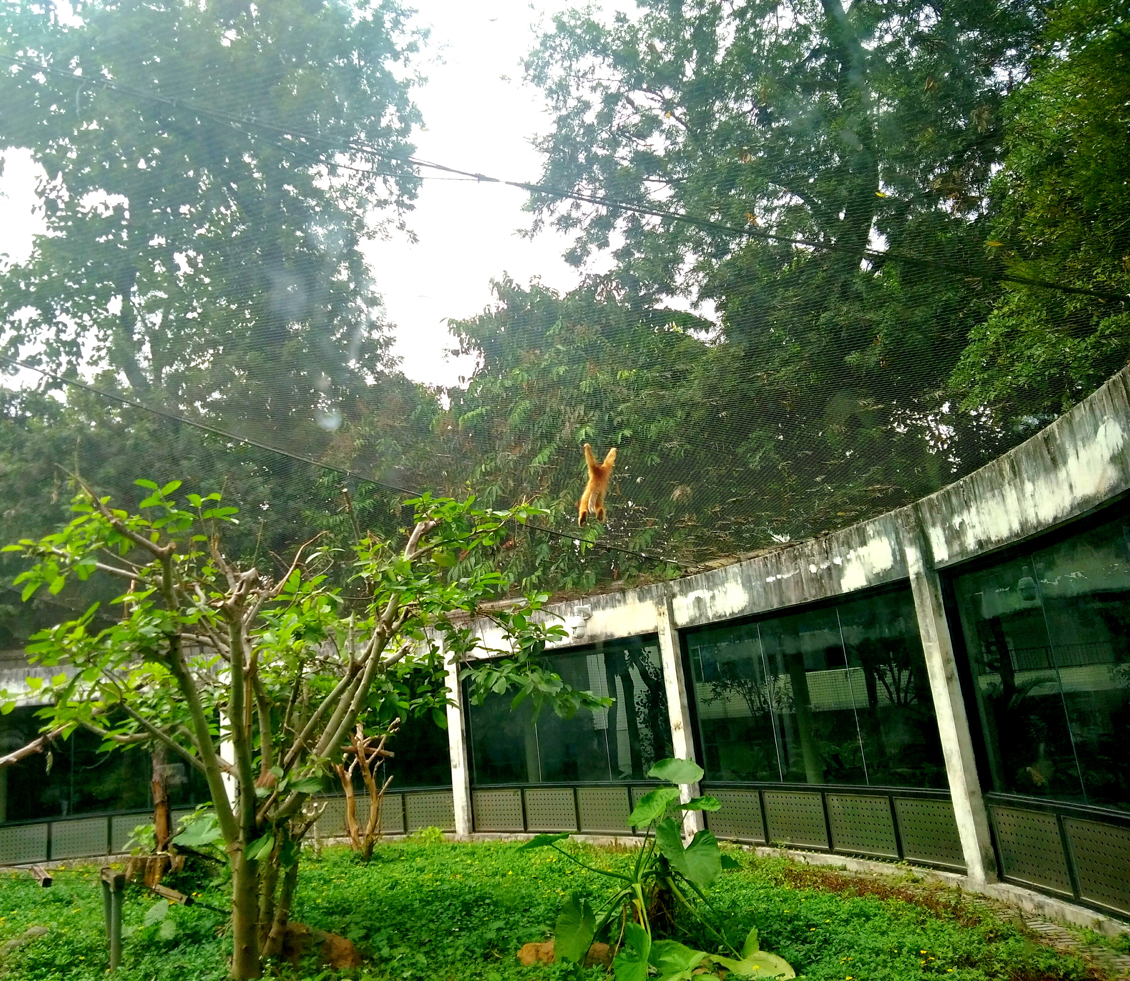 2022元旦广州有哪些好玩的地方,元旦广州哪里玩最合适