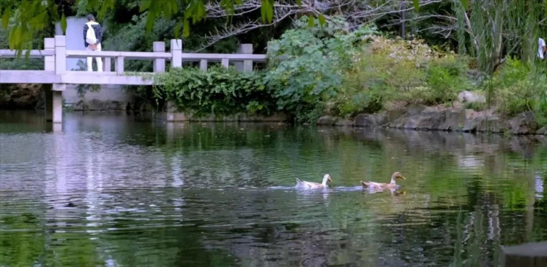 上海外环以外100万以内住宅,上海嘉定南翔富人区