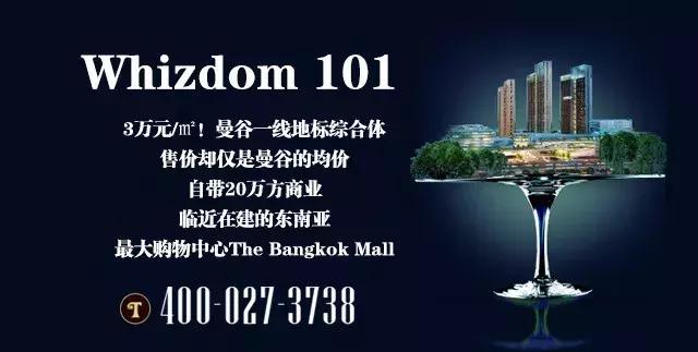 泰国旅游必买的茶叶,小红书爆款山茶花伴手礼