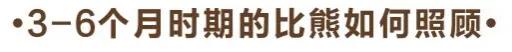 比熊犬怎么养?比熊犬吃什么?养比熊有哪些注意事项??