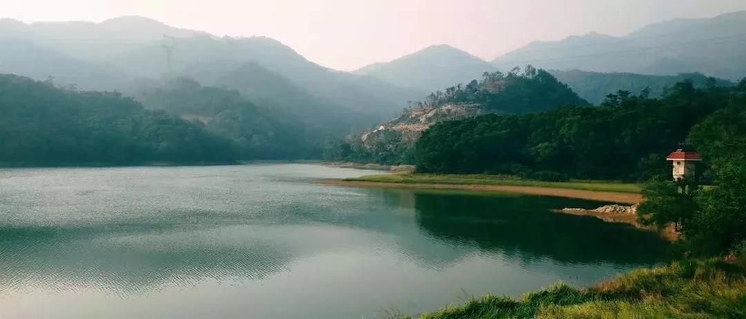 厦门夏令营走进大自然活动,厦门广电研学夏令营