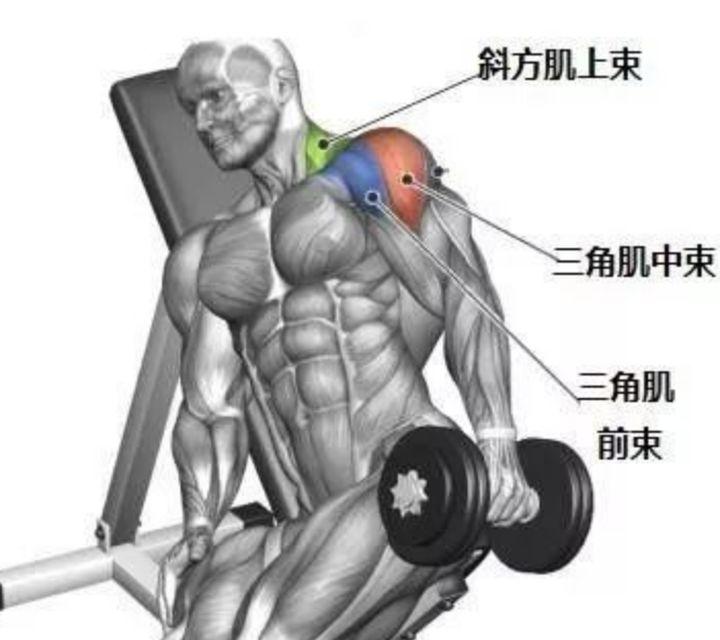 wildfieldhealth怎么样,wildfieldhealth天天喝酸奶好吗