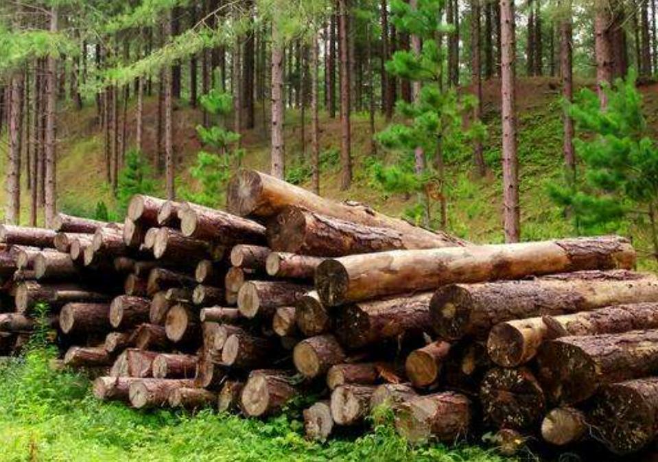 北欧那么冷为什么发达,北欧为什么是世界上最美的地方