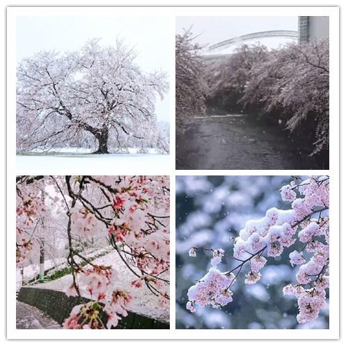 冲田总司巅峰时期,最让人心疼的球员排名前十