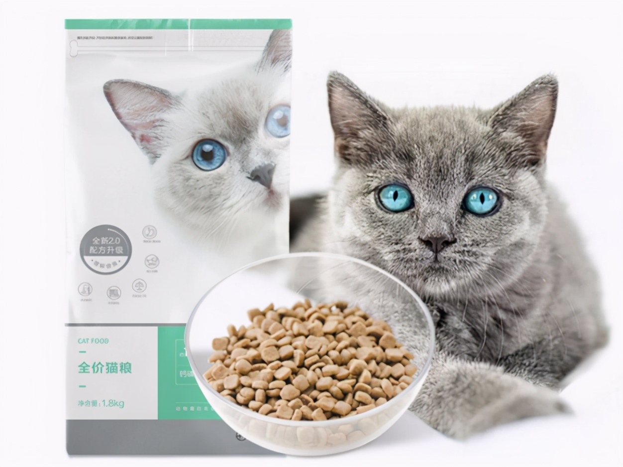 新手养猫猫粮选进口还是国产,新手养猫猫粮排行榜