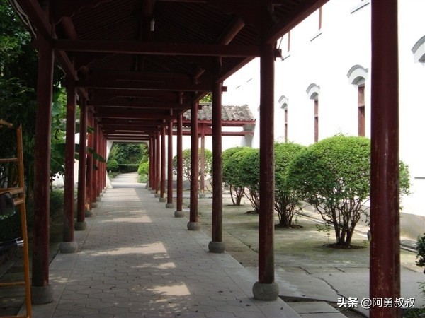 浙江春晖中学好还是柯桥中学好,上虞春晖中学全国排名第几名