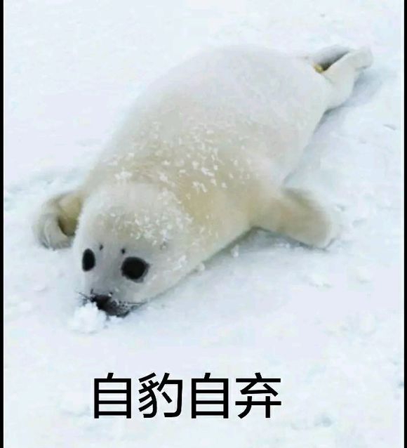 怎样帮助厌世的人,如何帮助一个自暴自弃的人