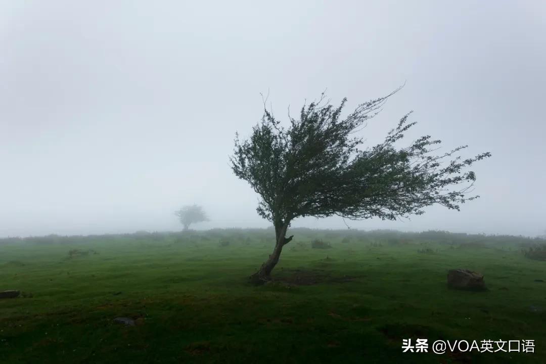 大雨小雨按什么区分,大雨小雨暴风雨的知识