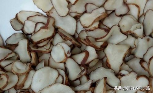 洋姜种植技术大全,洋姜种植方法和最佳时间怎样