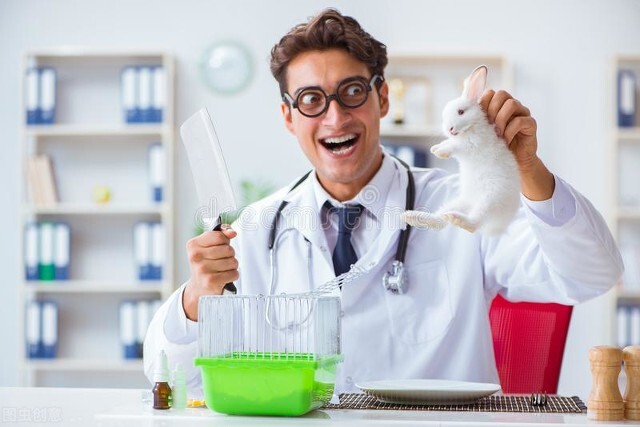 兽医疾病的分类和治疗原则,中兽医的基本知识