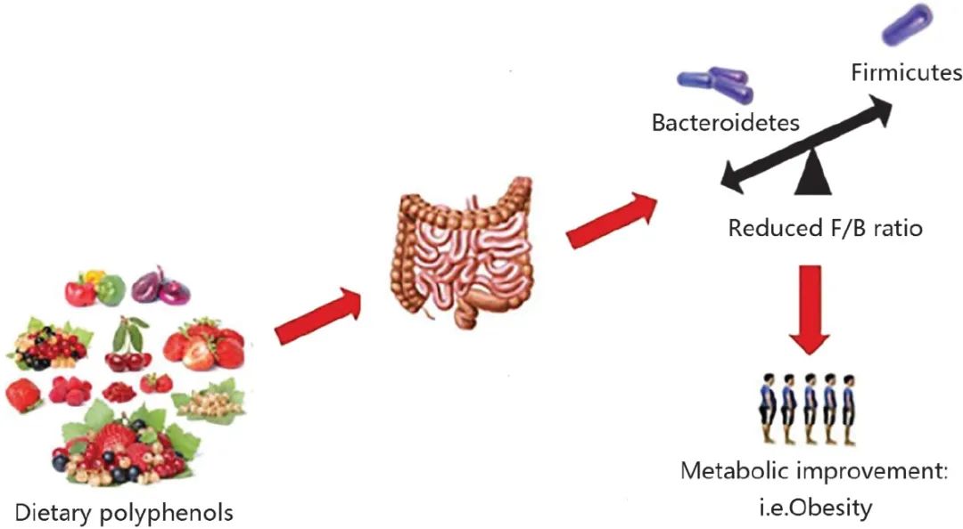具备所有“顶流”气质，距离樱桃霸屏食品界还需要多久？