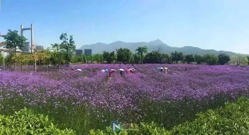 仓山哪里的,现在的仓山