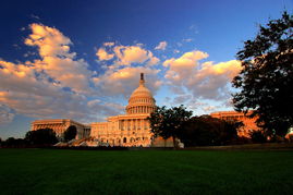 8家中国上市公司上美国黑名单,美国黑名单28家上市公司