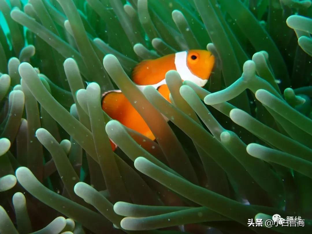 在腾讯工作10年,在腾讯工作3年